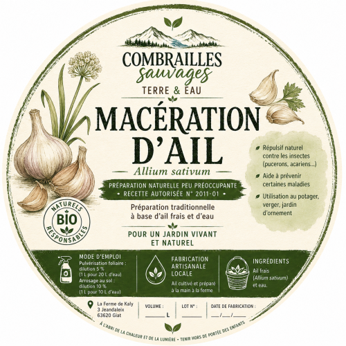 Méceration d'ail